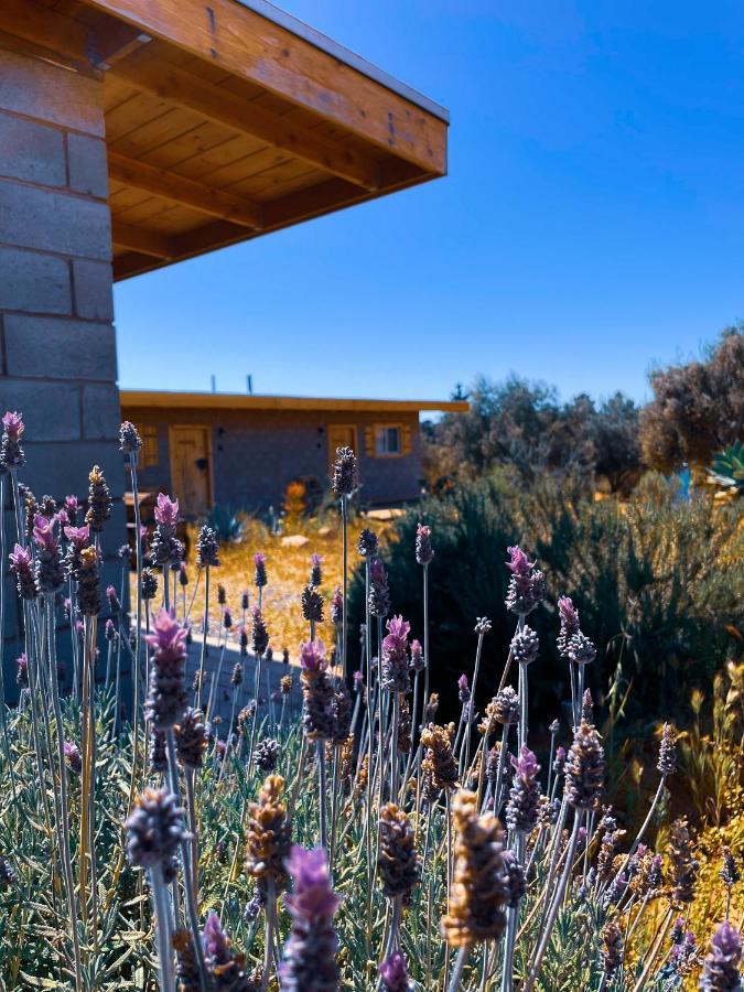 Sn Tony Hotel & Spa Villa de Juarez Dış mekan fotoğraf