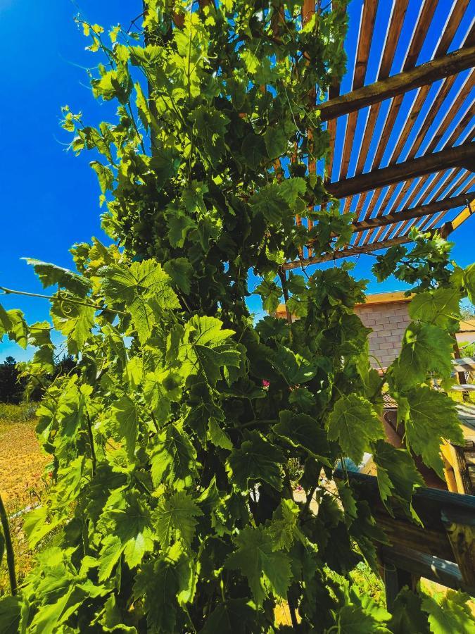 Sn Tony Hotel & Spa Villa de Juarez Dış mekan fotoğraf