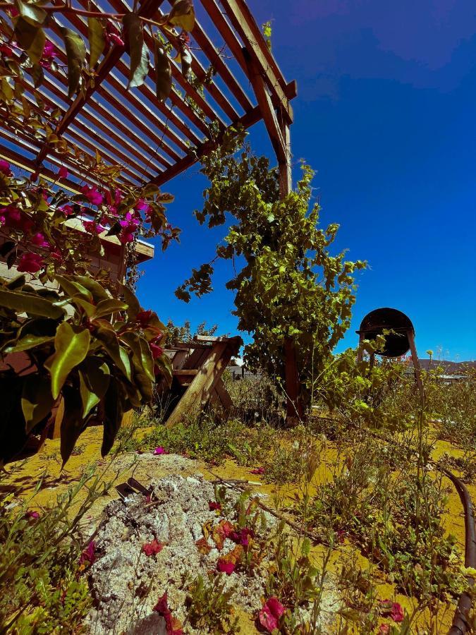 Sn Tony Hotel & Spa Villa de Juarez Dış mekan fotoğraf